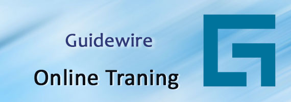 guidewire training