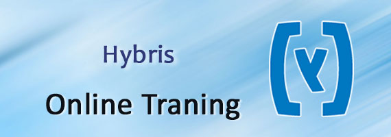 sap hybris training